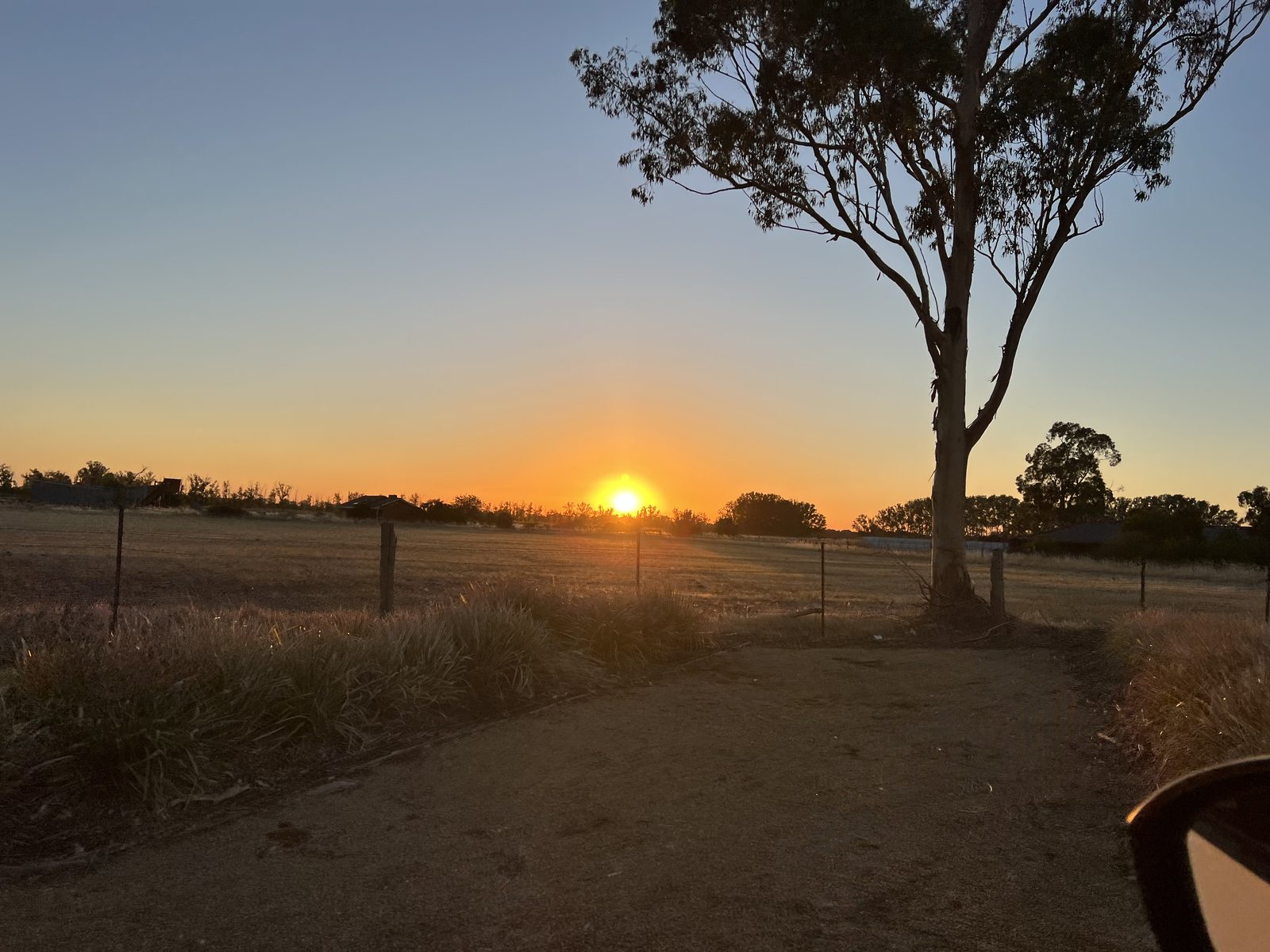 Sunset over open Country, with a lone gum tree beside a dirt track